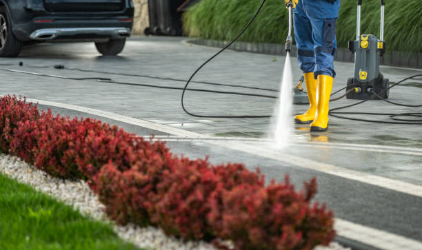 Best Rust Removal  in St Bernard, OH